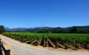 Breakthrough Praise TWP