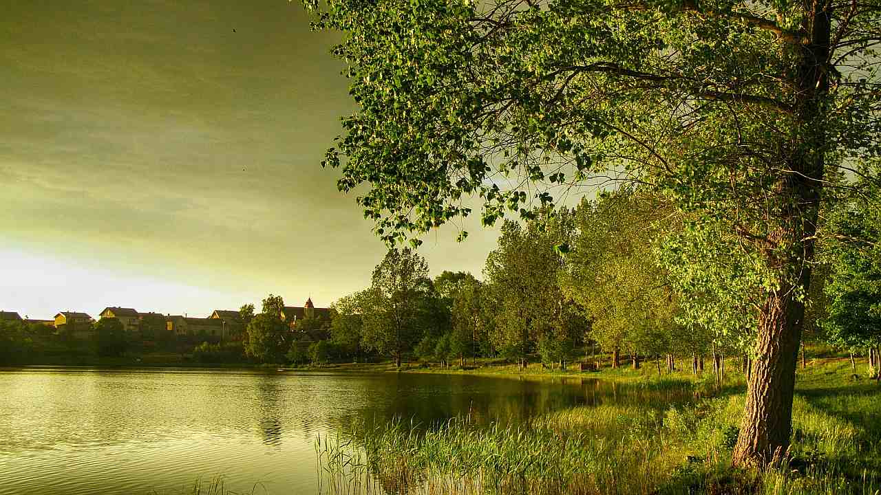 Wealth transfer Cyrus anointing